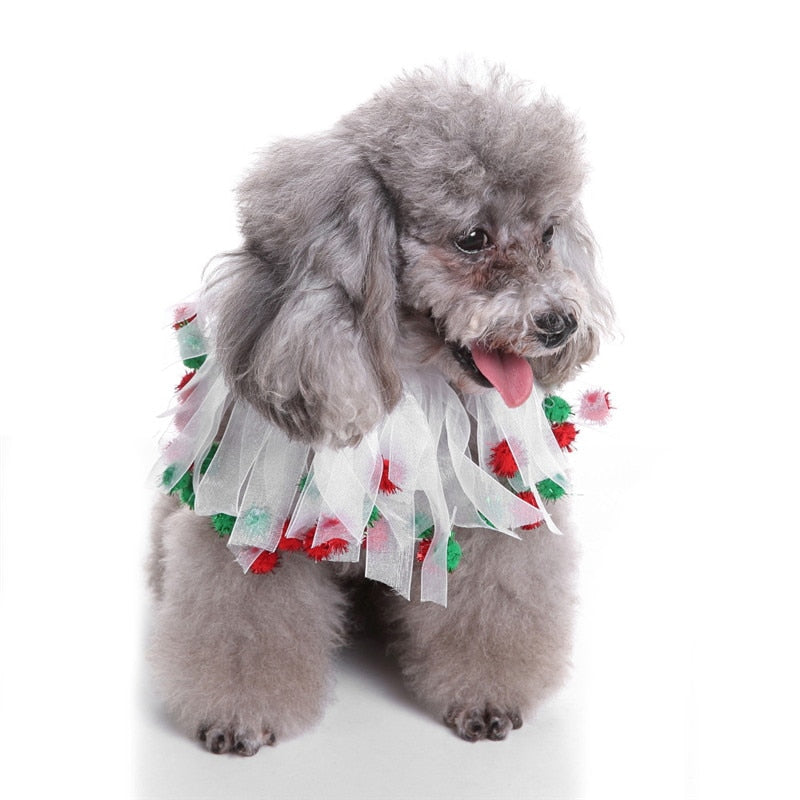Christmas Pet Wreath
