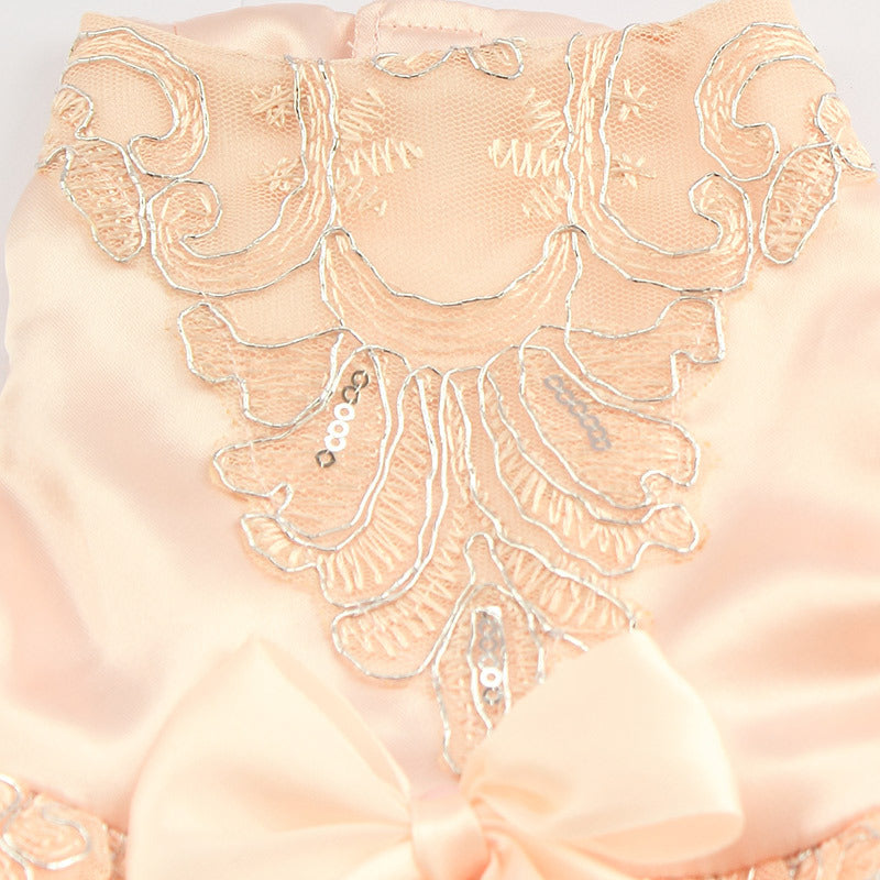 Lace dog dress