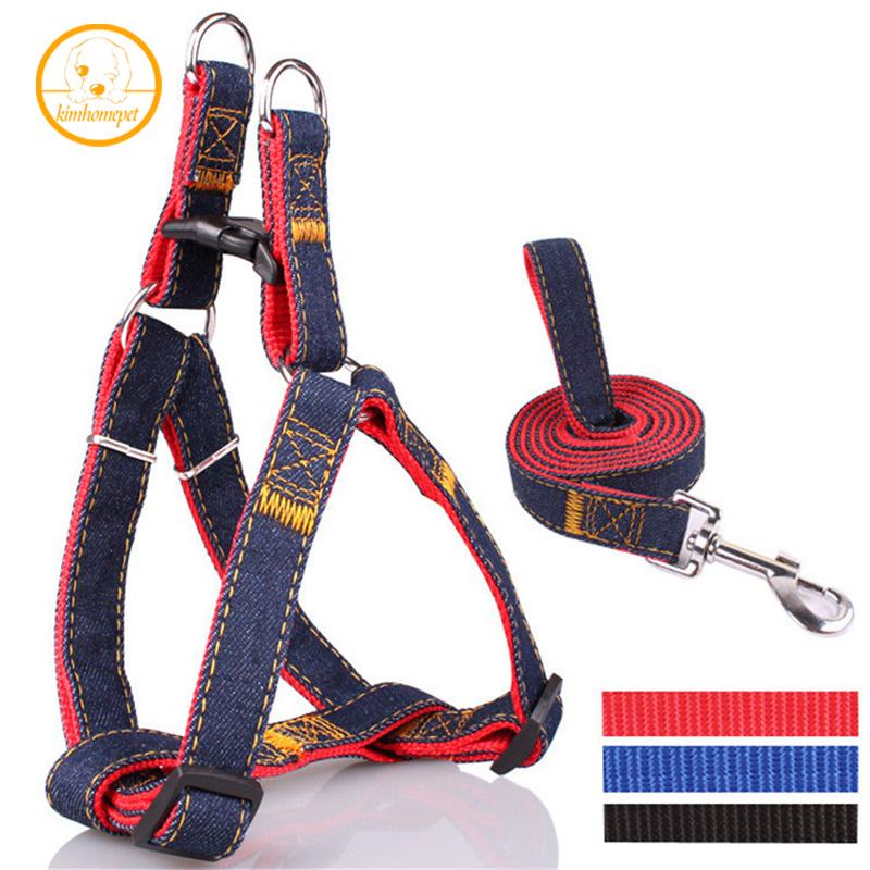 Denim Leash and Harness