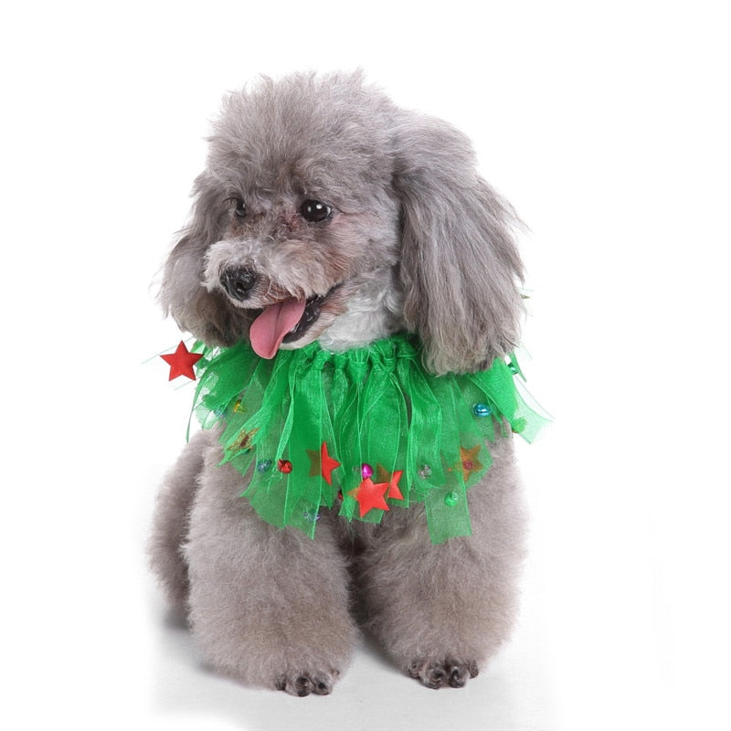 Christmas Pet Wreath