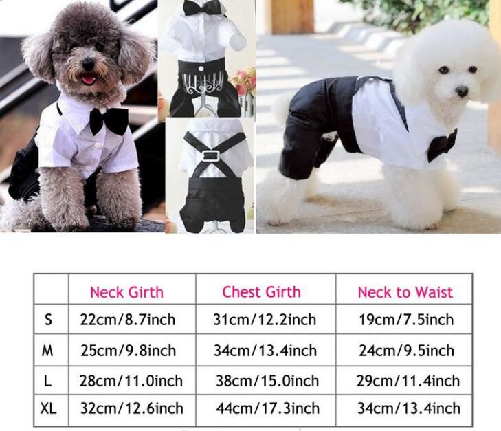 Pet Formal Outfit