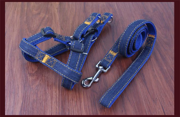 Denim Leash and Harness