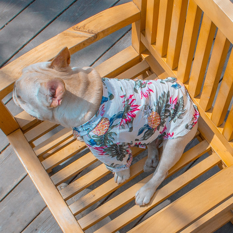 summer dog shirt