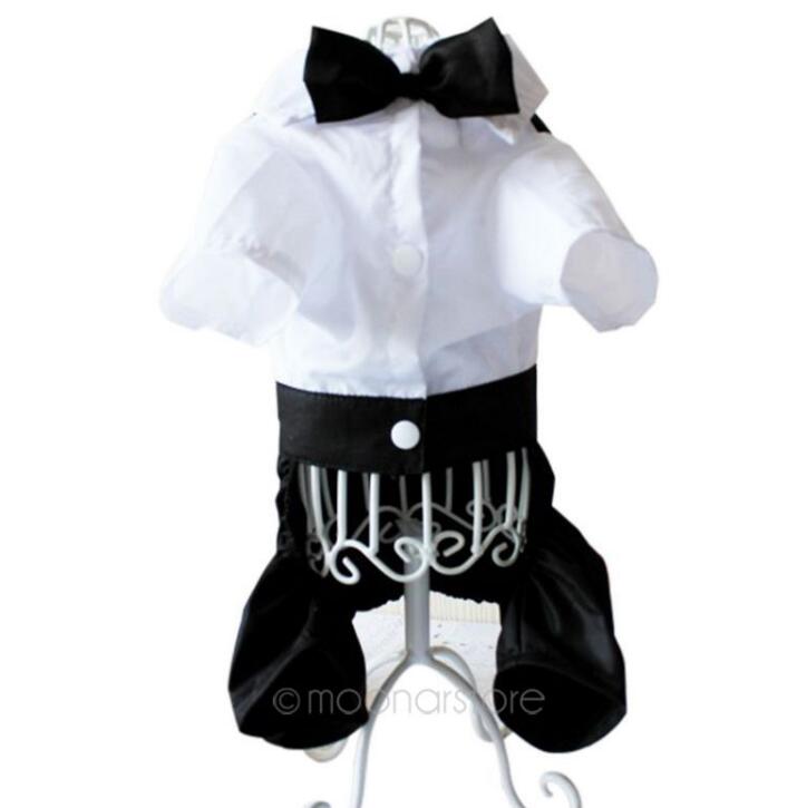 Pet Formal Outfit