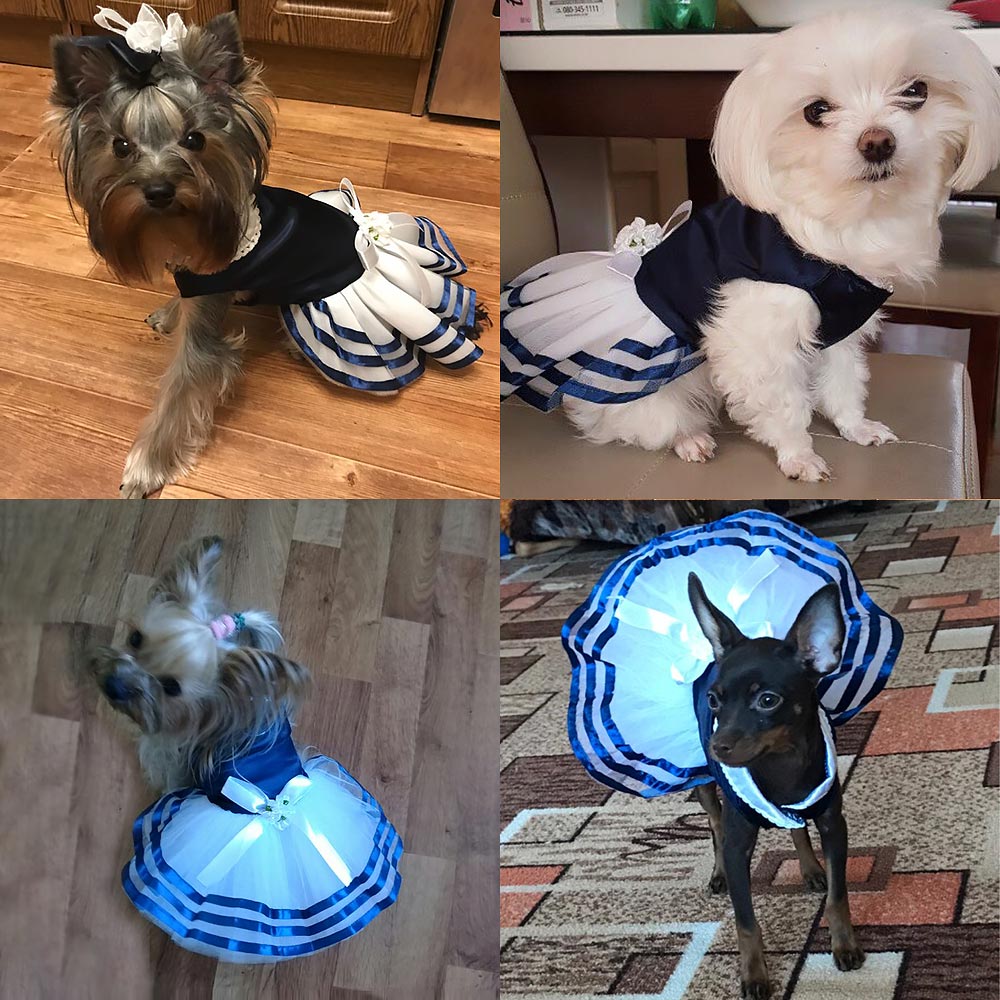 Sailor dog dress