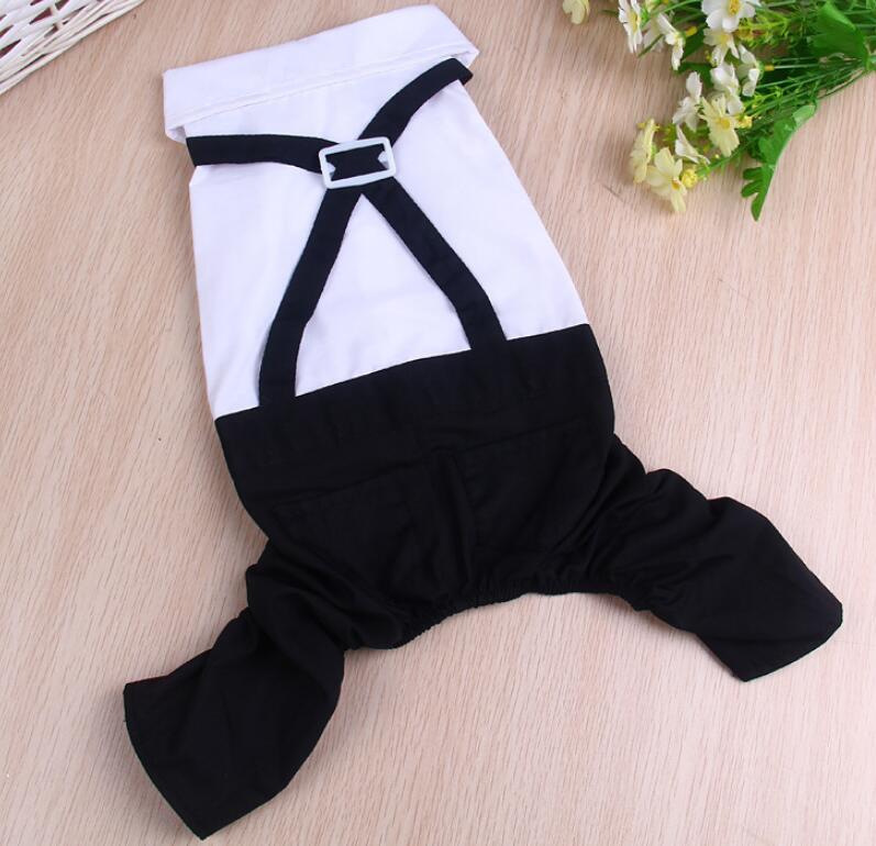 Pet Formal Outfit