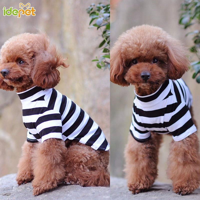 Summer Pet T Shirt