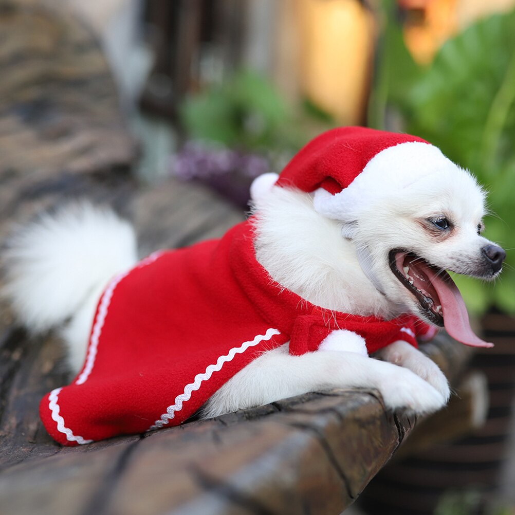Pet Winter Hat + Cloak Christmas Set