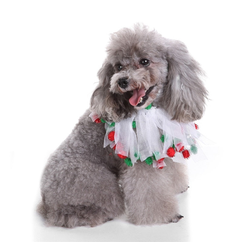 Christmas Pet Wreath