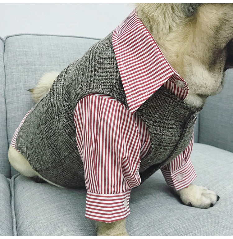 Dog Tuxedo