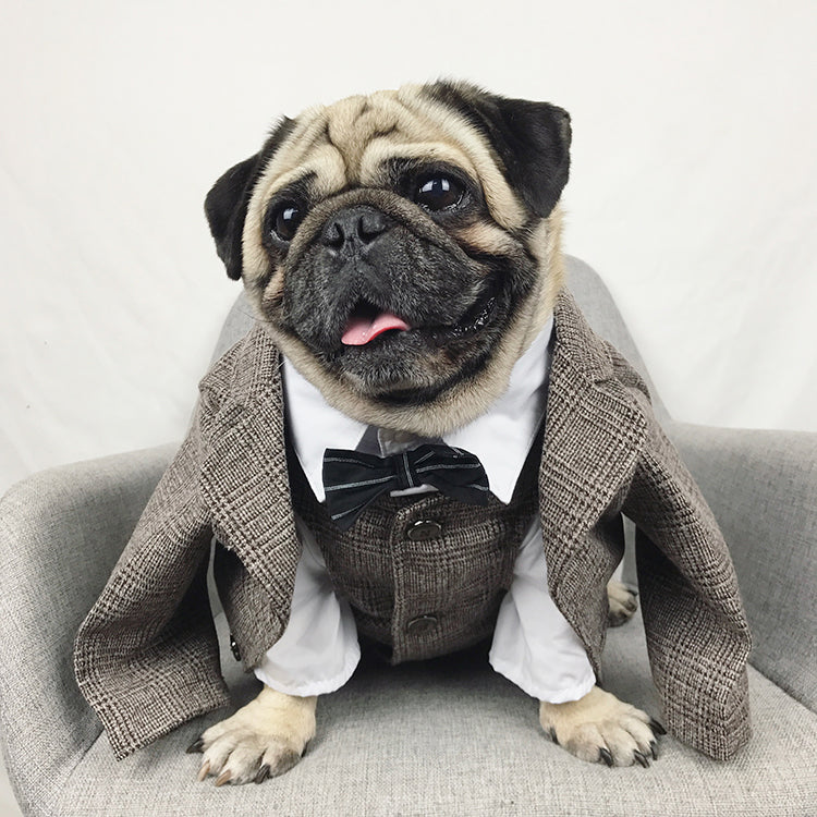 Dog Tuxedo