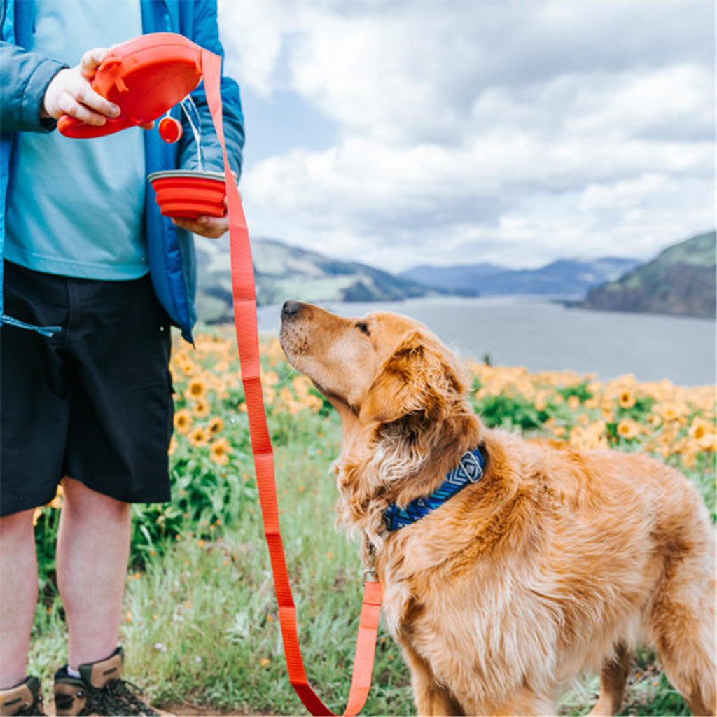 Multi Function Dog Leash With Water Bottle, Bowl & Waste Bag Dispenser