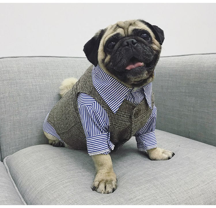 Dog Tuxedo