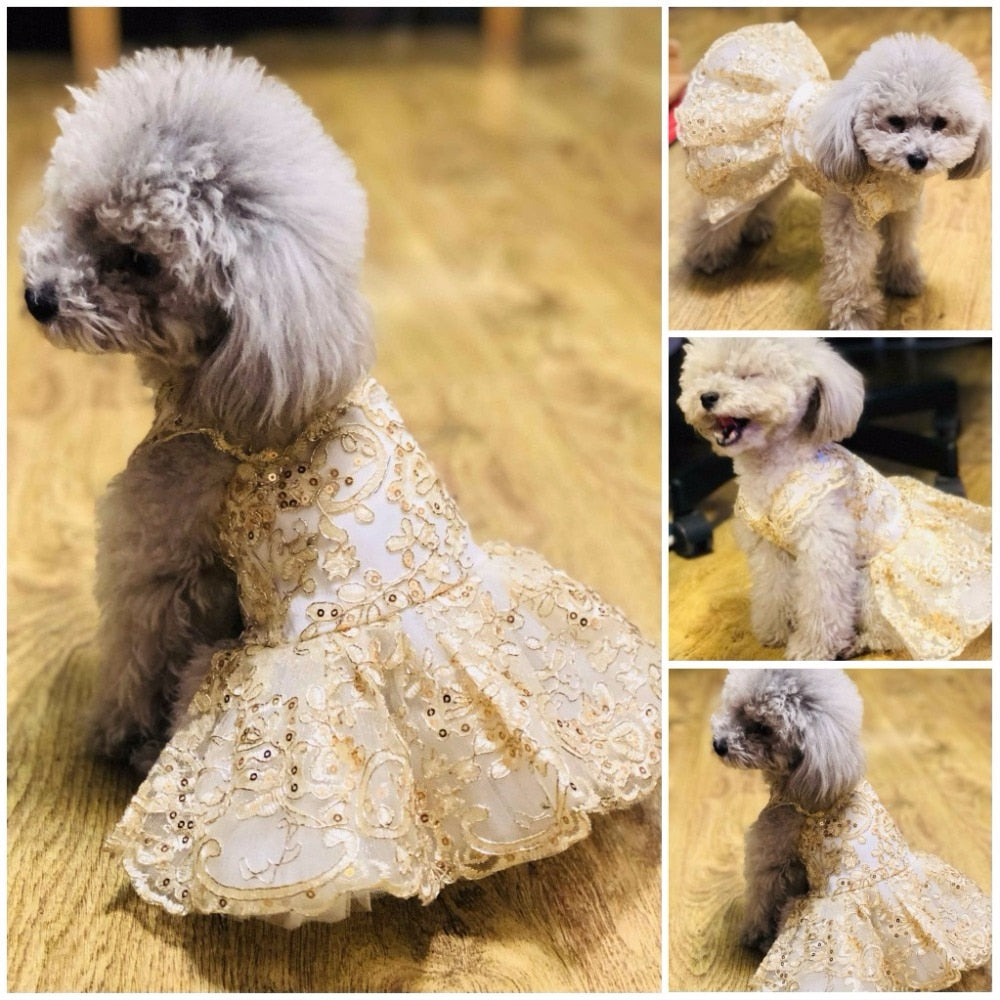 Princess Wedding Dress Pet Tutu