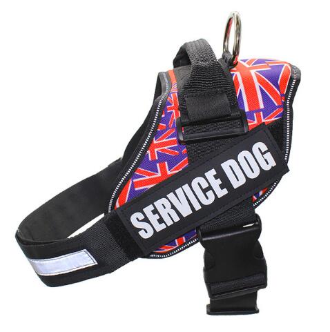 Service dog harness