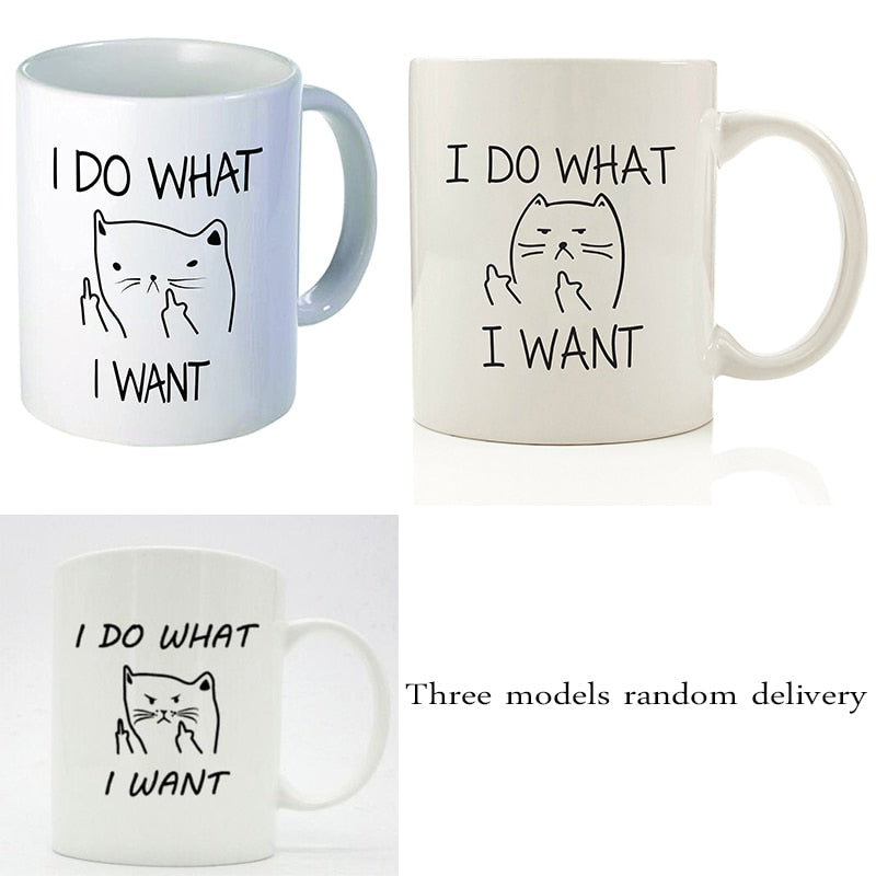 I DO WHAT I WANT Mug