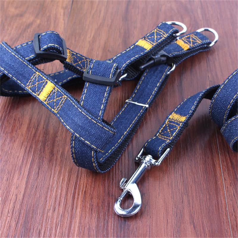 Denim Leash and Harness