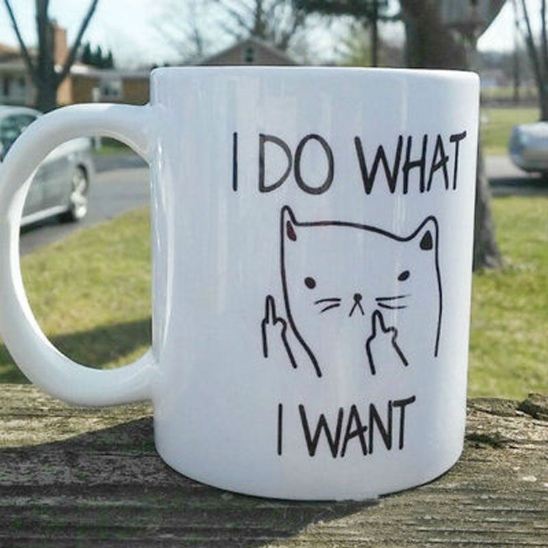 I DO WHAT I WANT Mug