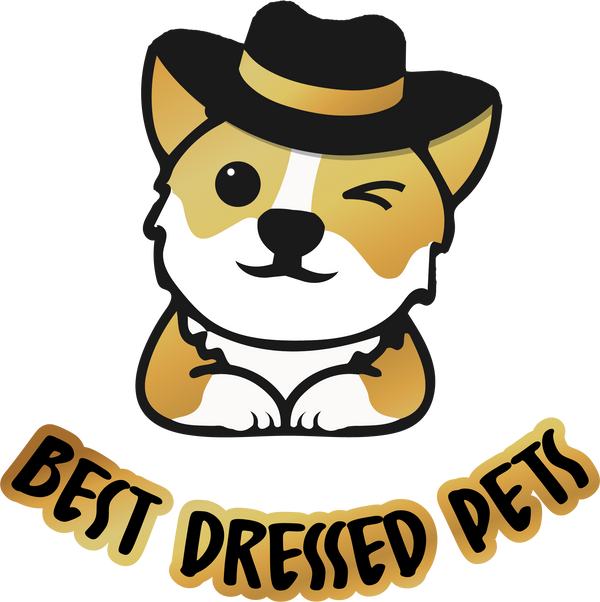 bestdressedpets