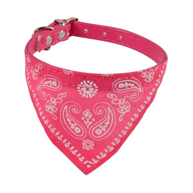 Bandana Collar