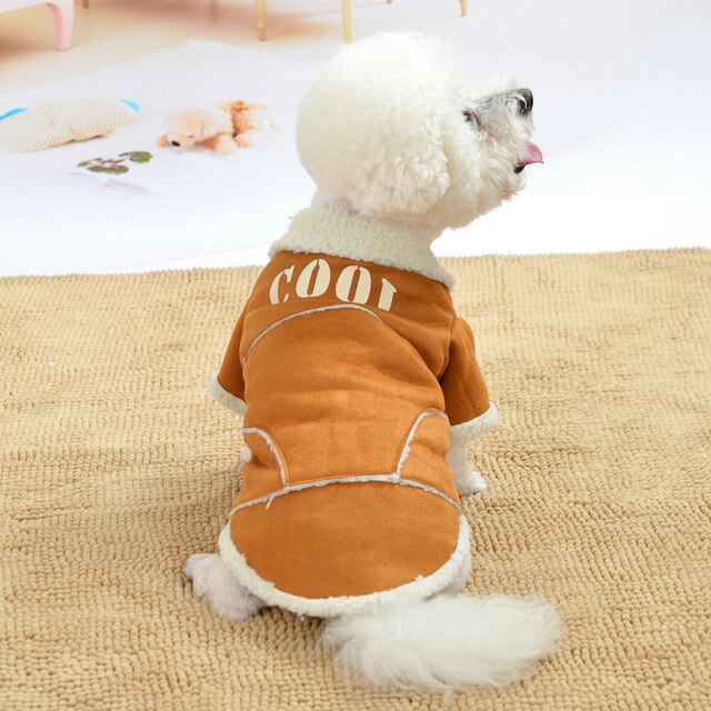 Cute Dog Jacket