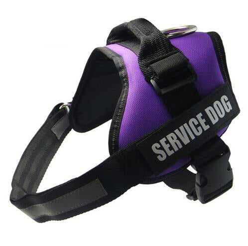 Service dog harness