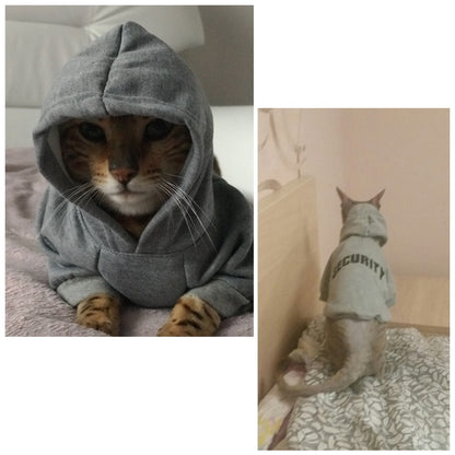 Cute pet hoodie