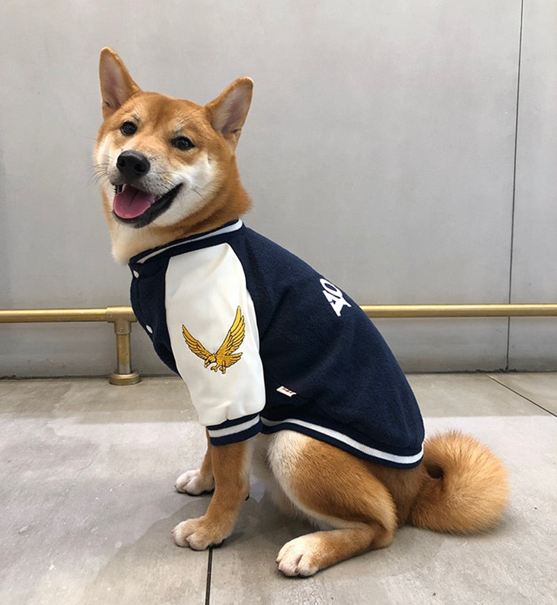 Pet baseball jacket