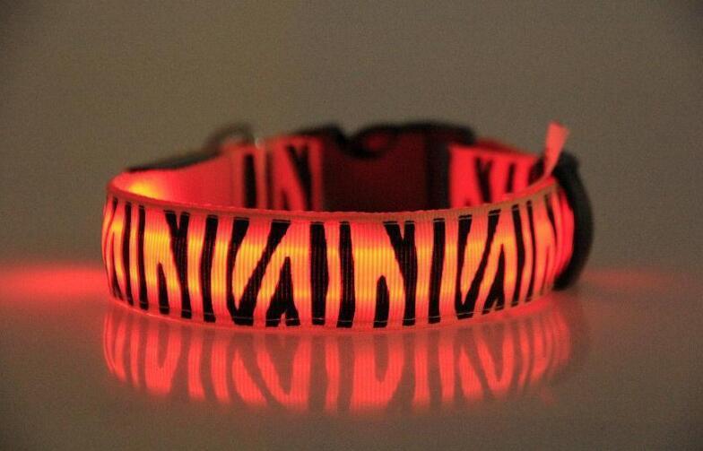 Zebra LED collar