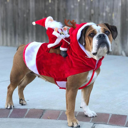 Christmas Santa Claus Pet Costume