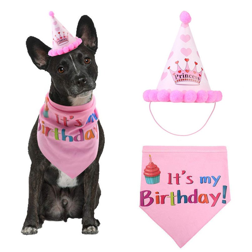 Pet Birthday Costume