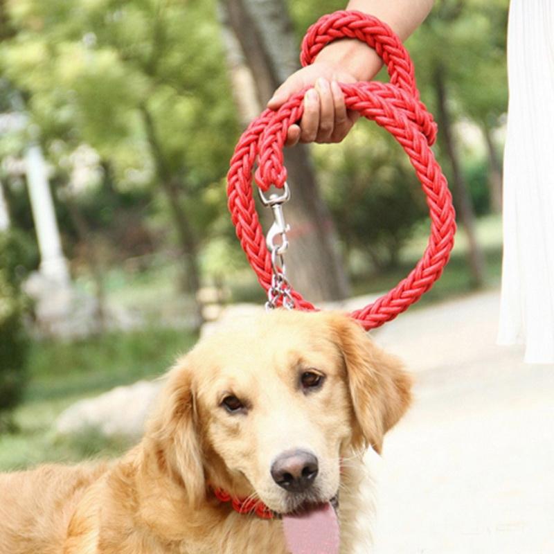 Strong Braided Dog Leash