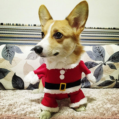 Santa pup costume