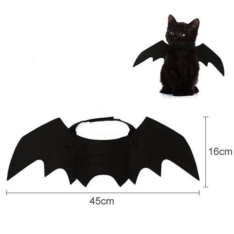 Halloween cat bat wings