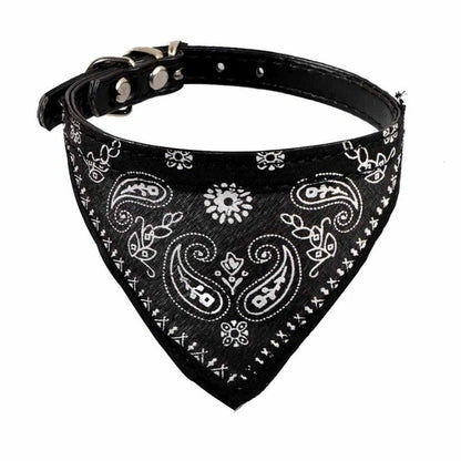 Bandana Collar