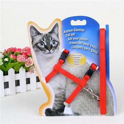 Cat Harness