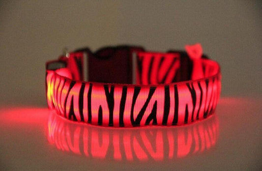 Zebra LED collar