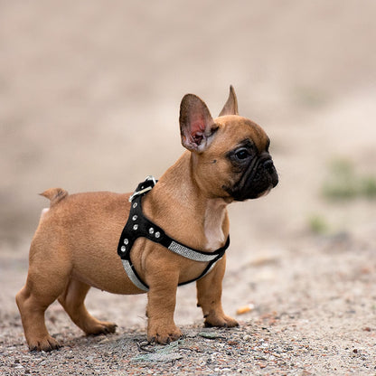 Suede bling harness