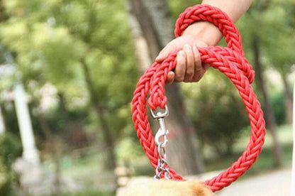 Strong Braided Dog Leash