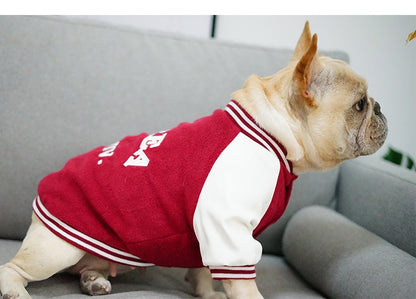 Pet baseball jacket