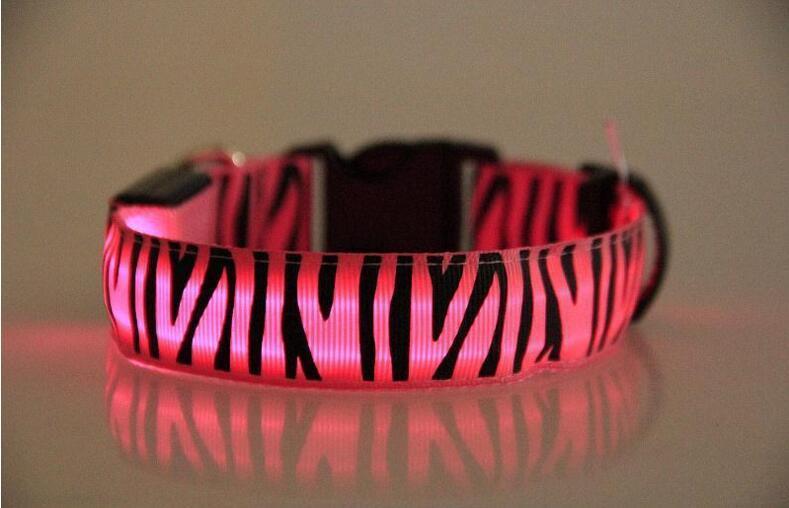 Zebra LED collar