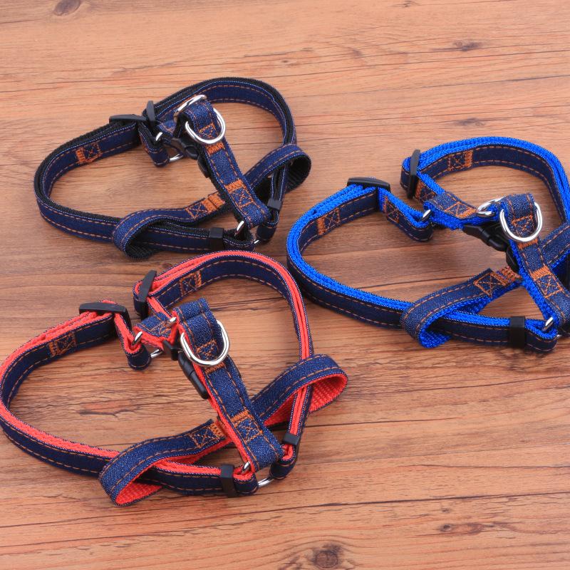 Denim Leash and Harness