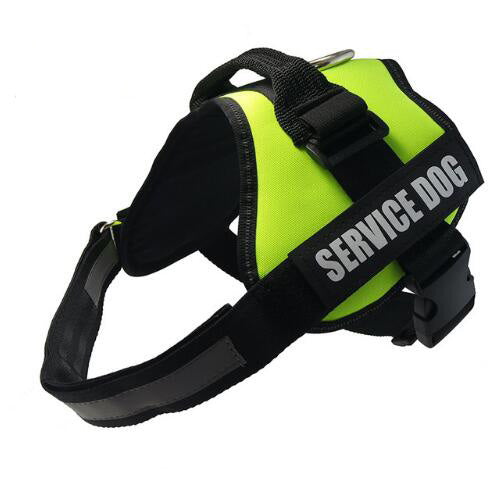 Service dog harness