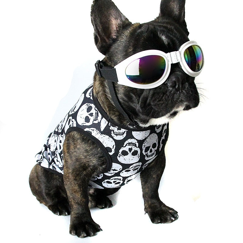 Skull print pet Costume