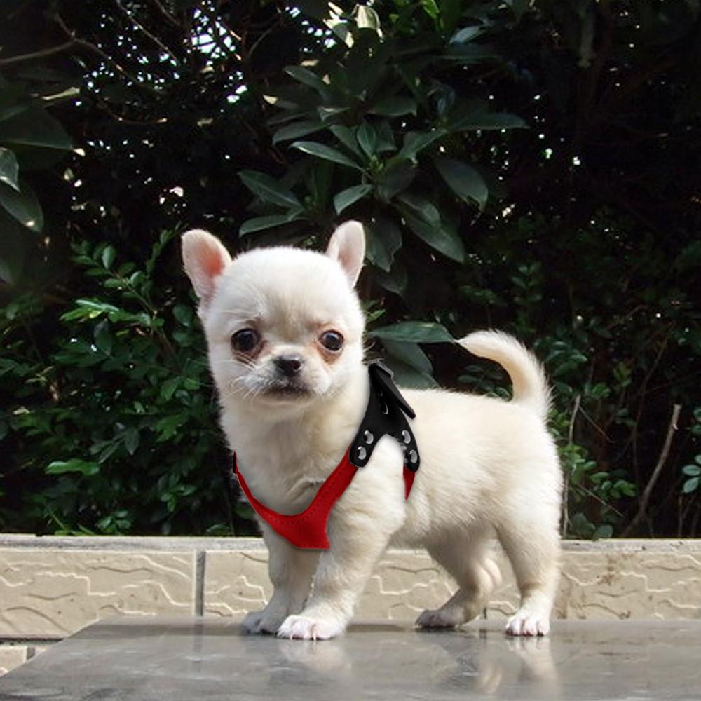 Soft Suede Small Dog Harness