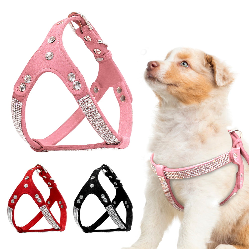 Suede bling harness