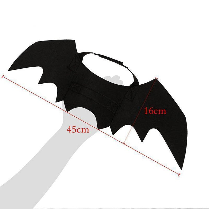 Halloween cat bat wings