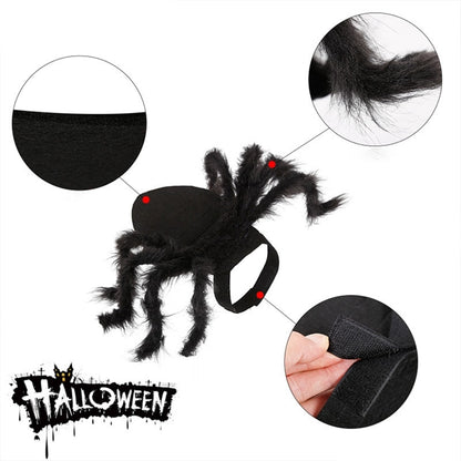 Pet spider costume