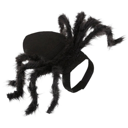 Pet spider costume