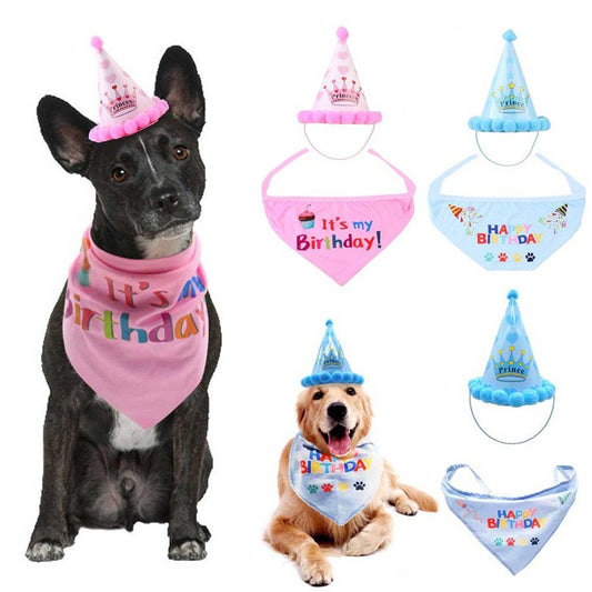 Pet Birthday Costume